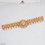 HATISHA Exquisite Multi-Colored Silver Vaddanam & Nakshi Jewelry