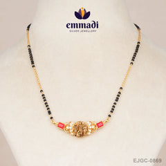 Nipo Nallapusalu Multi Chain