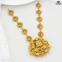 DHRUVIKA Elegant Multi-Colored Antique Necklace