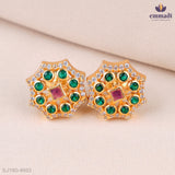 Sanvi Elegant Multi-Color Stone Studs