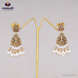 Kalapini Guttapusalu Multi Long Necklace & Hitaishi Nakshi Multi Hangings Set