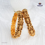 Dhanashri Nakshi Na Bangles